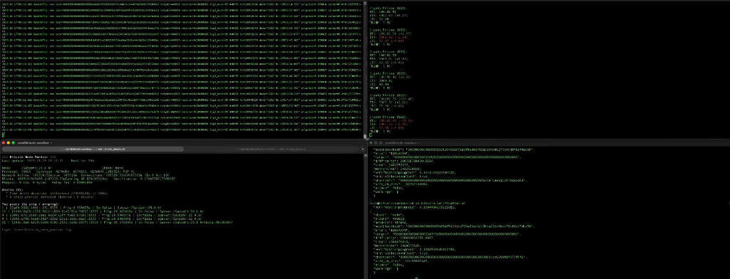 Bitcoin node snapshot indexing, verification, and live chain analytics